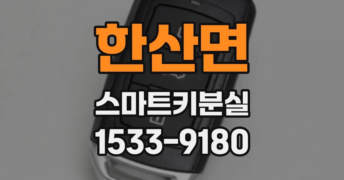 한산면 스마트키분실