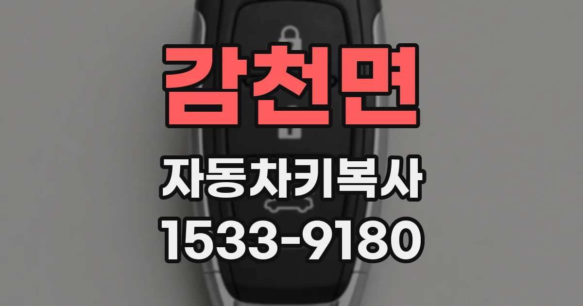 감천면 자동차키복사
