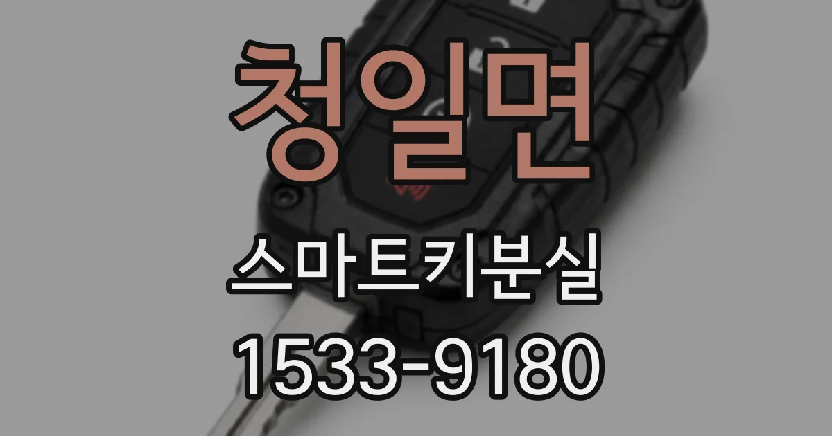 청일면 스마트키분실