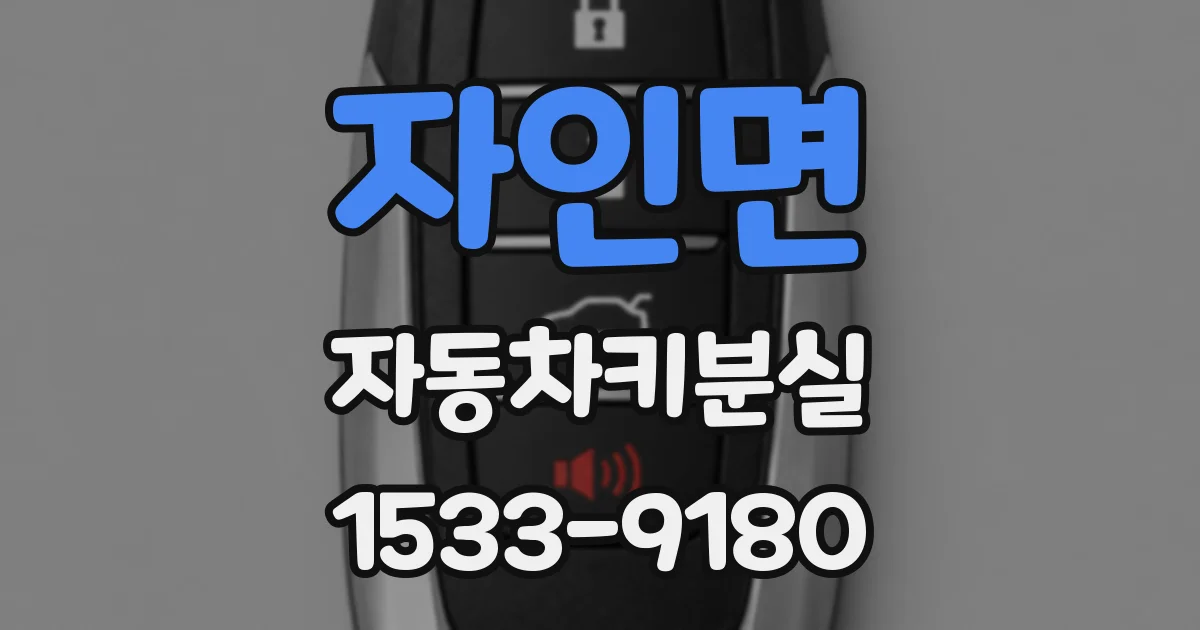 자인면 자동차키분실