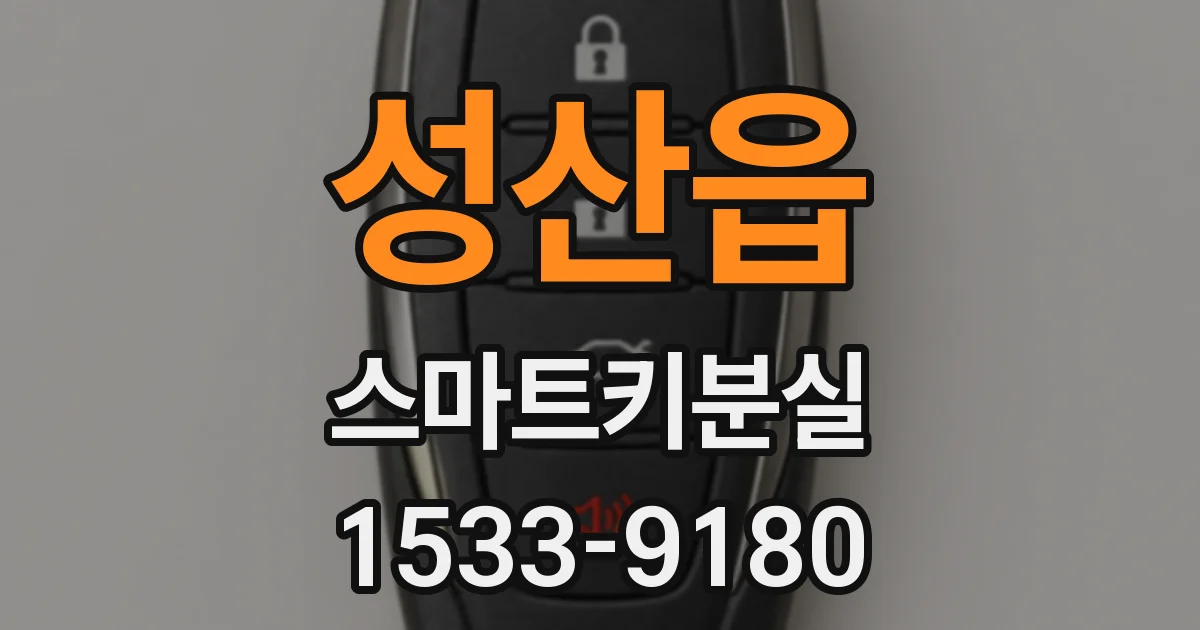 성산읍 스마트키분실