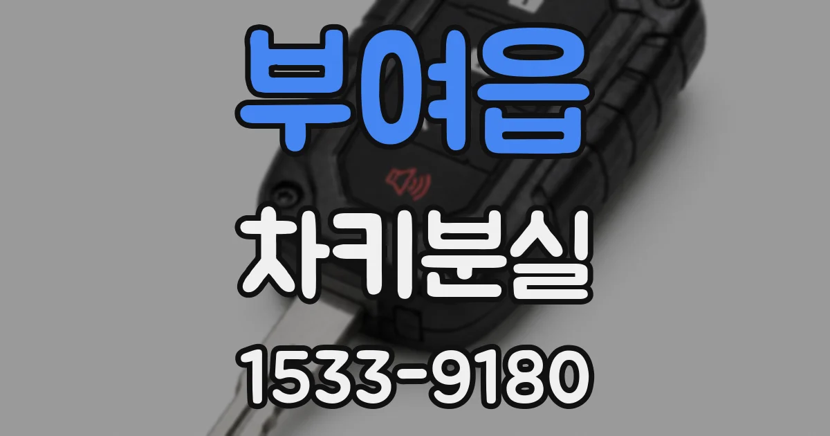 부여읍 차키분실