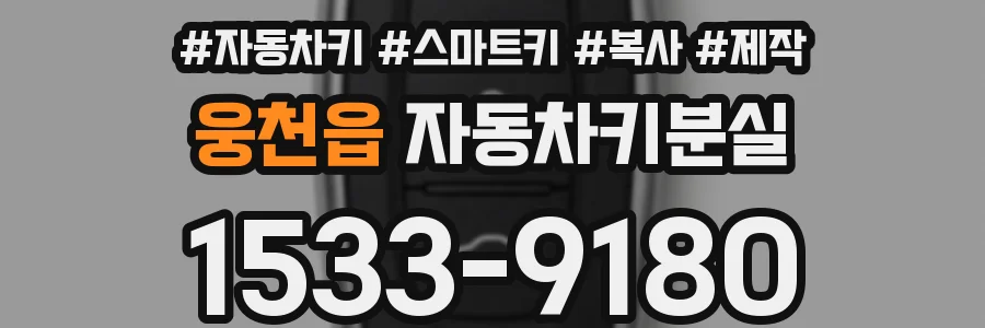 웅천읍 자동차키분실