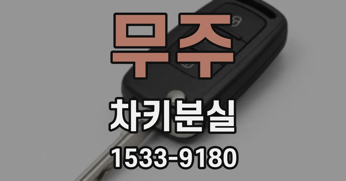 무주 차키분실