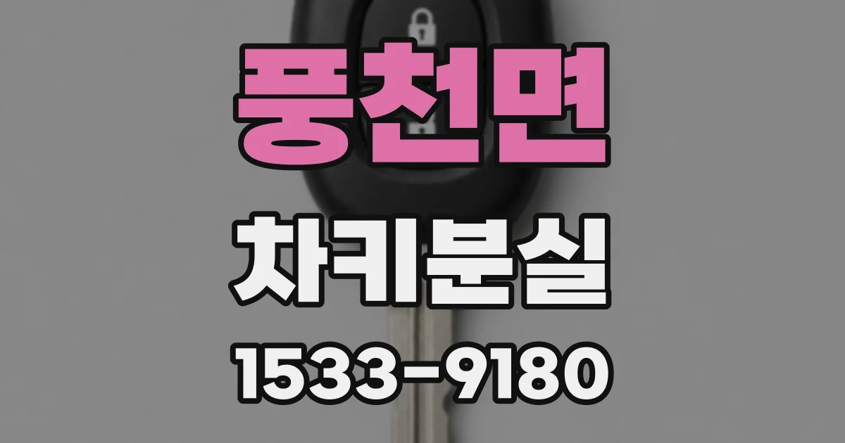 풍천면 차키분실