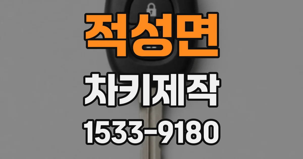 적성면 차키제작