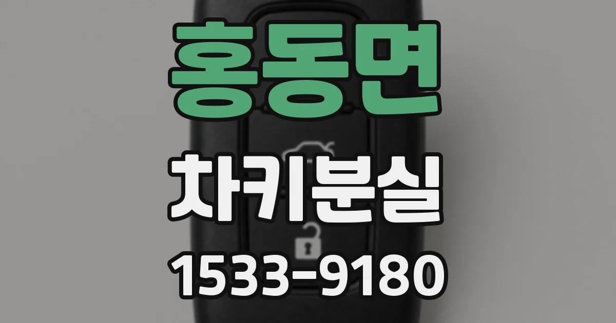 홍동면 차키분실
