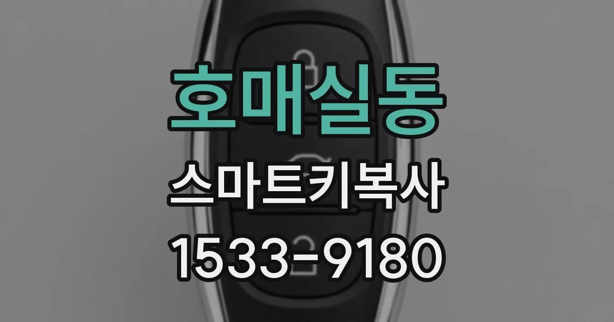 호매실동 스마트키복사