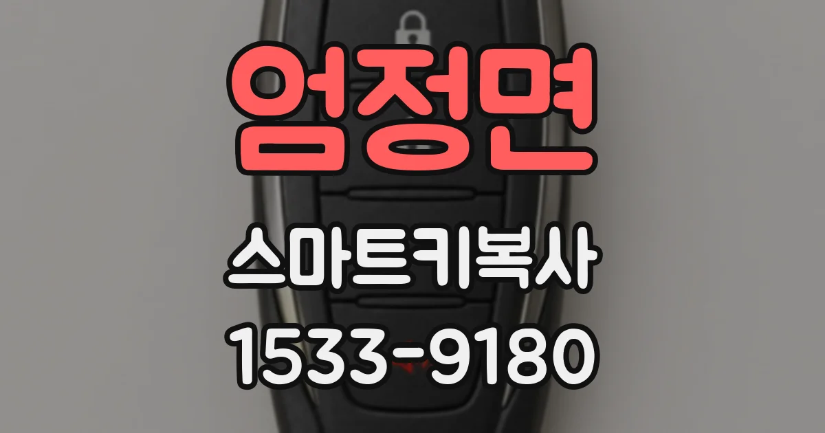 엄정면 스마트키복사