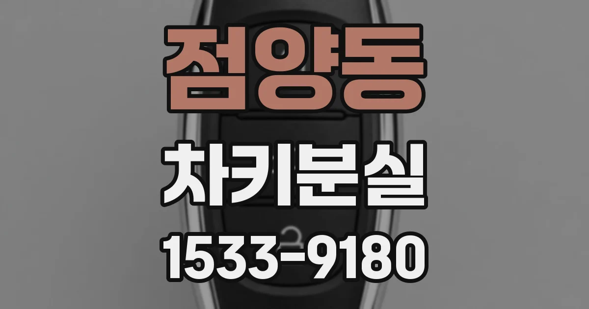 점양동 차키분실