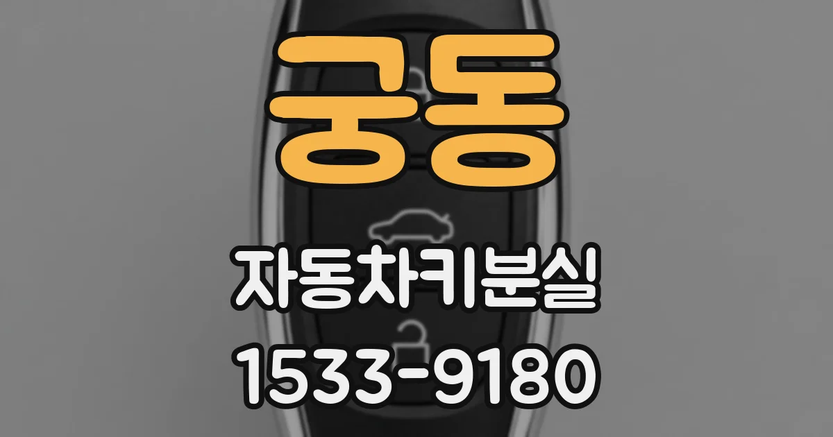 궁동 자동차키분실