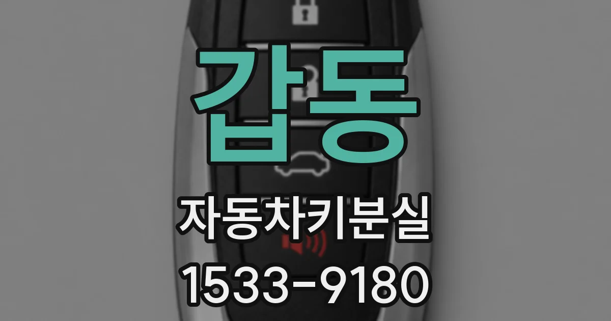갑동 자동차키분실