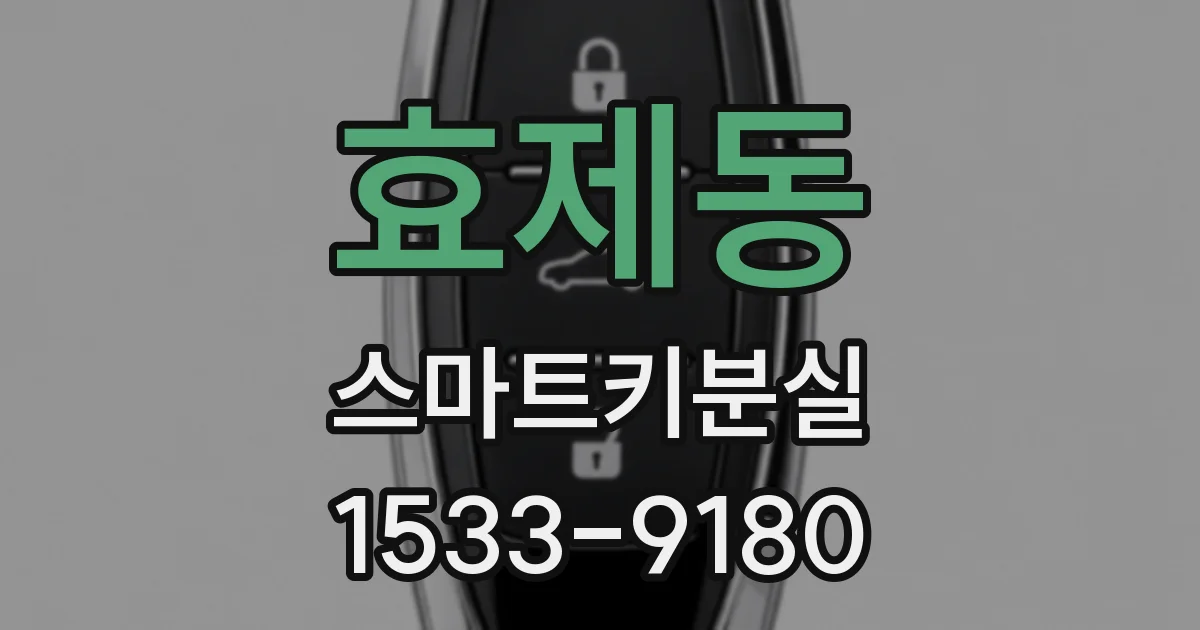효제동 스마트키분실