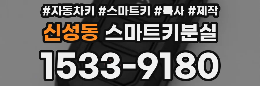 신성동 스마트키분실