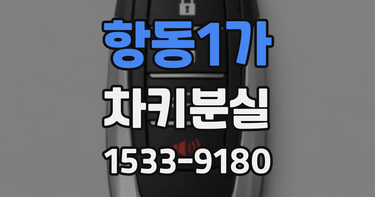 항동1가 차키분실