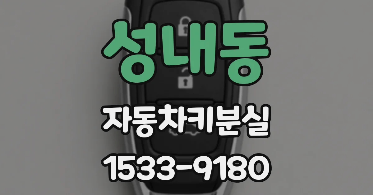성내동 자동차키분실