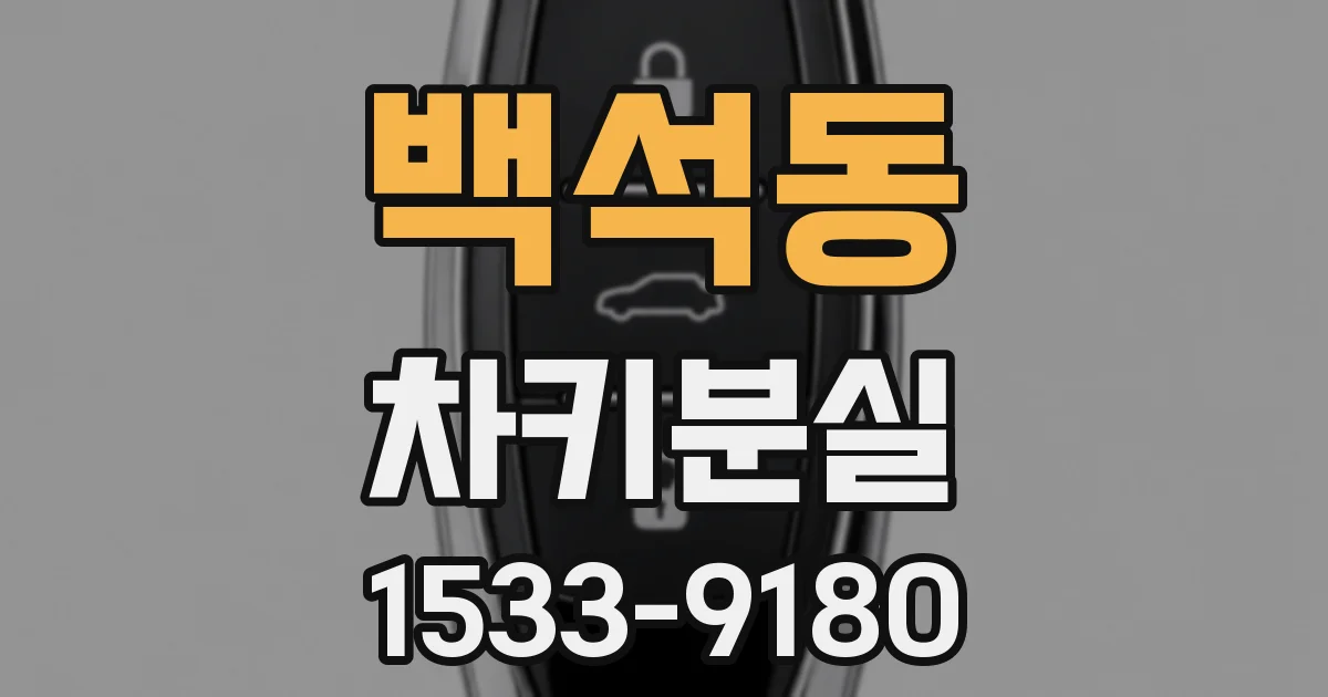 백석동 차키분실