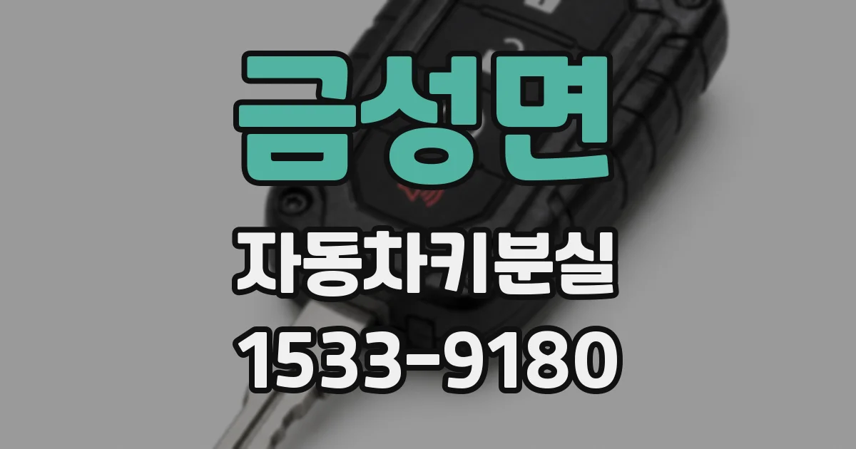 금성면 자동차키분실