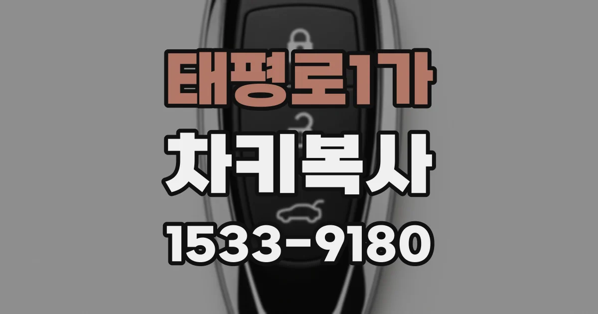 태평로1가 차키복사