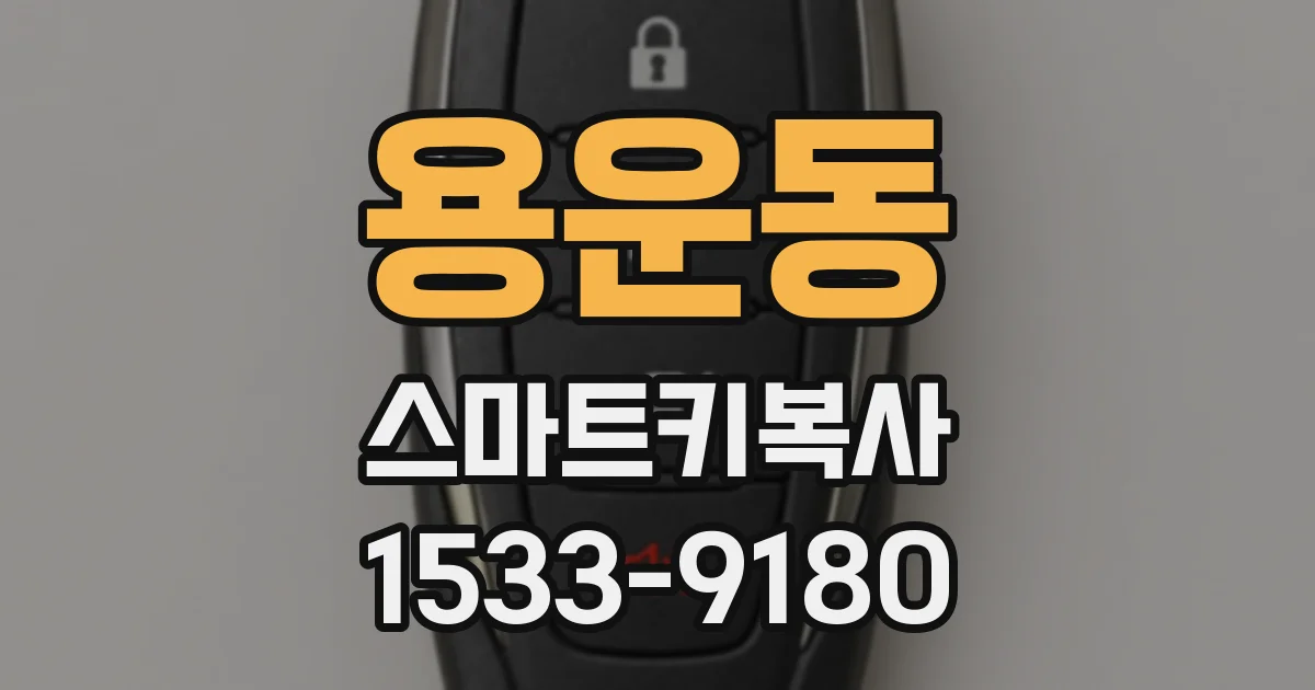 용운동 스마트키복사