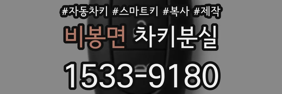 비봉면 차키분실