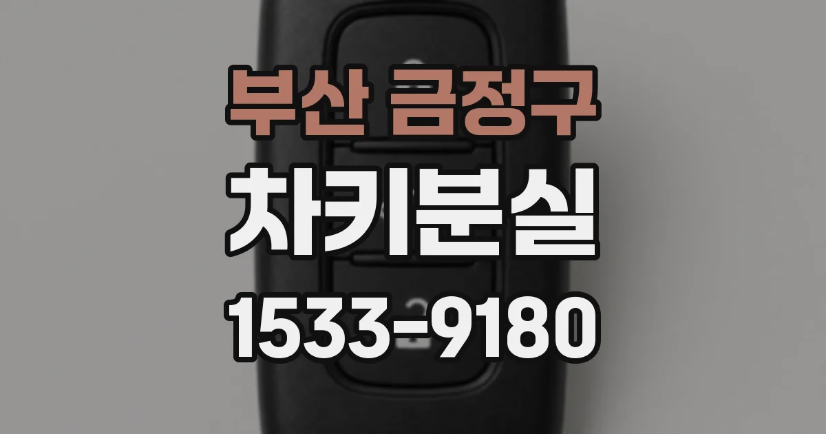 부산 금정구 차키분실