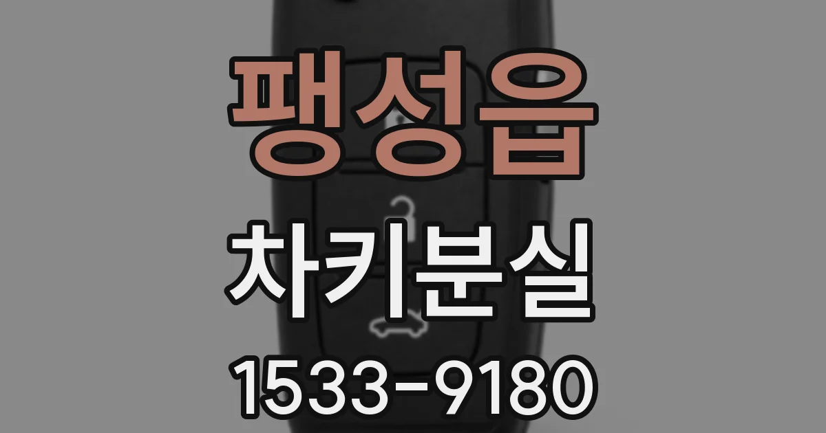 팽성읍 차키분실