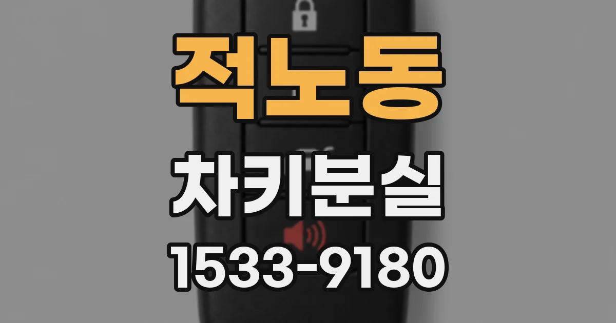 적노동 차키분실