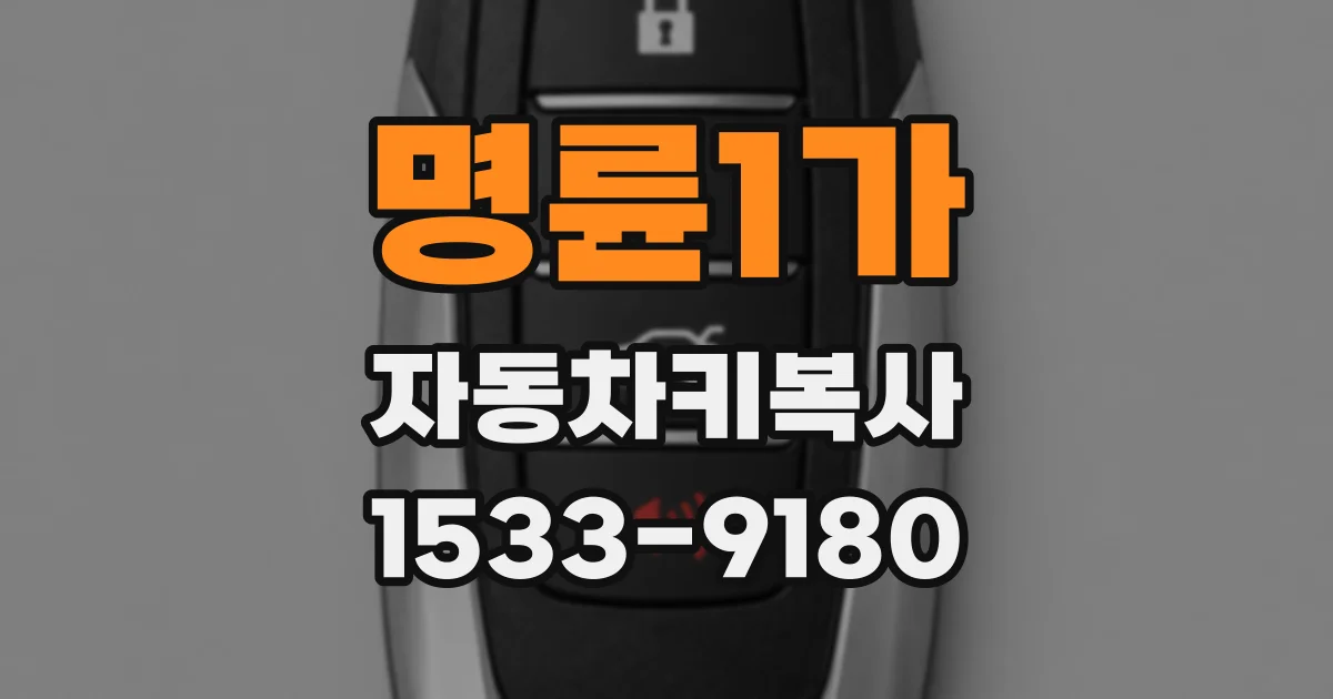 명륜1가 자동차키복사