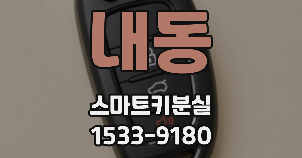 내동 스마트키분실