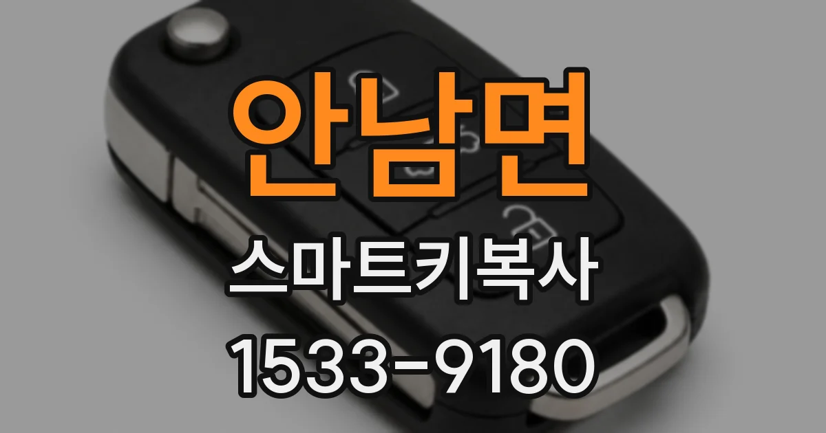 안남면 스마트키복사