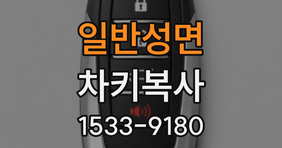 일반성면 차키복사