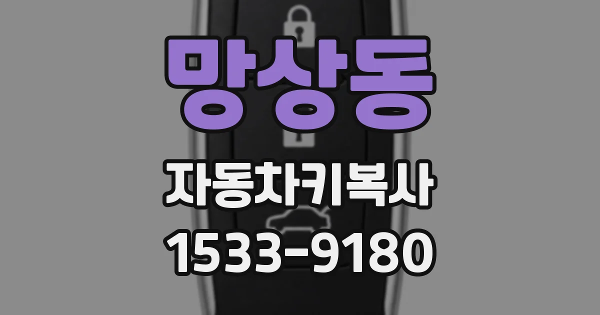 망상동 자동차키복사