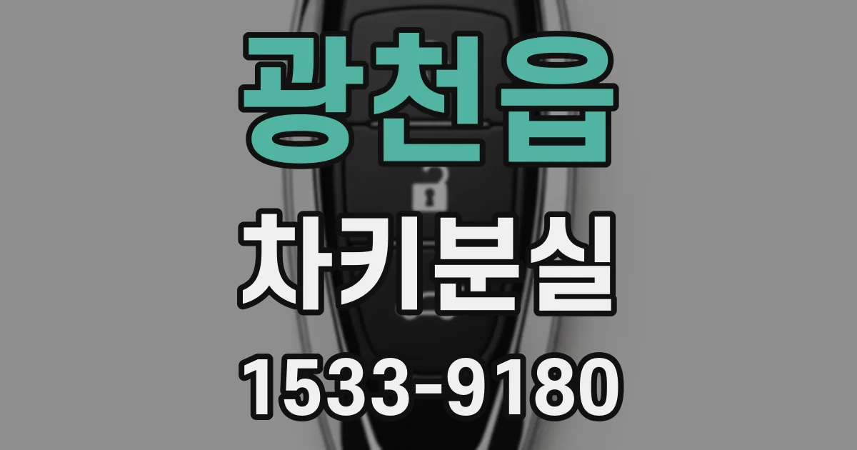 광천읍 차키분실
