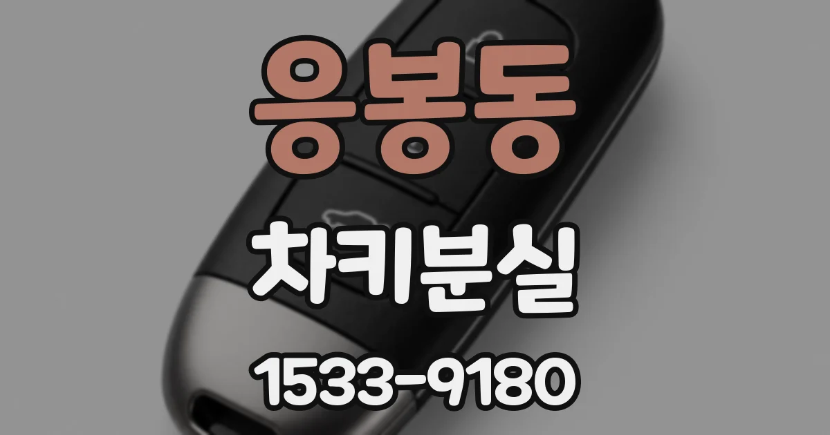 응봉동 차키분실