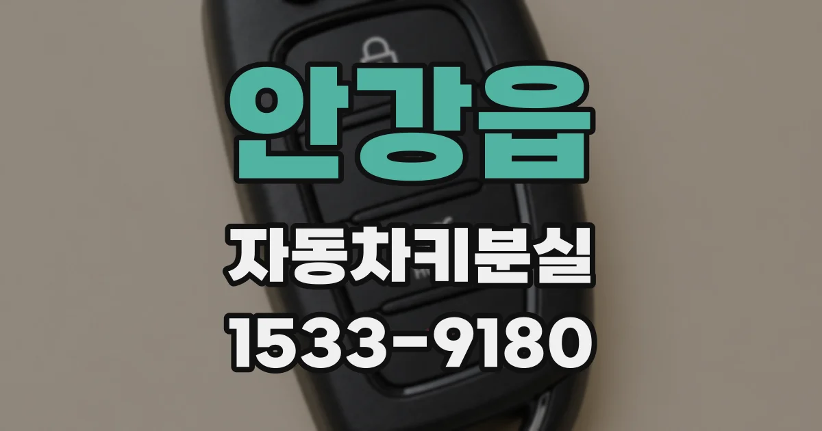 안강읍 자동차키분실