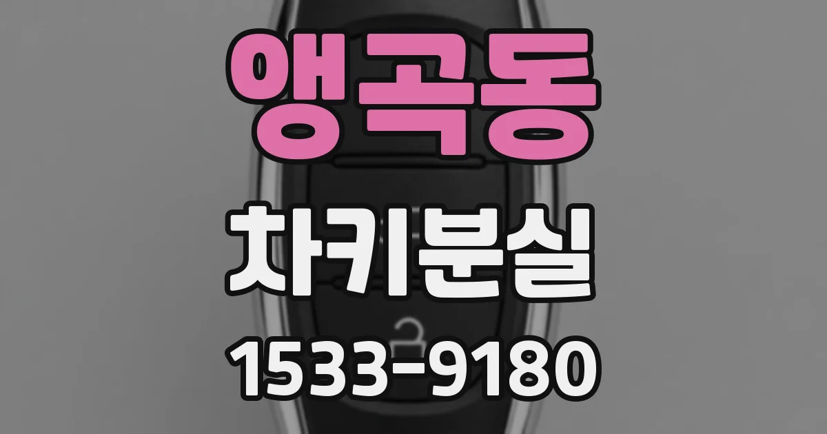 앵곡동 차키분실