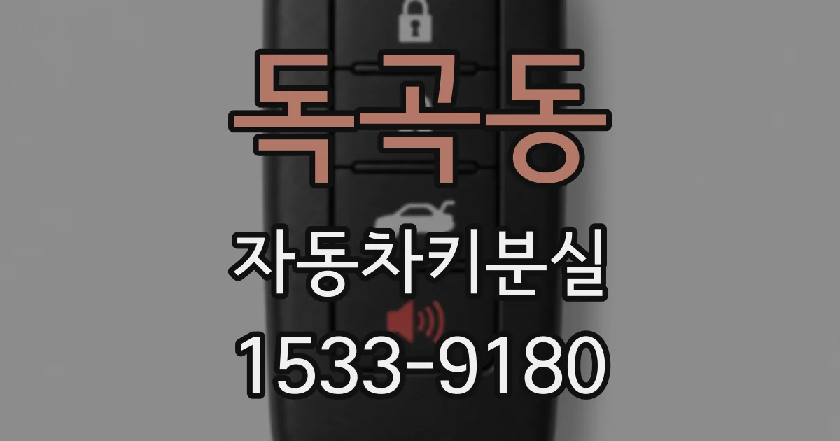 독곡동 자동차키분실