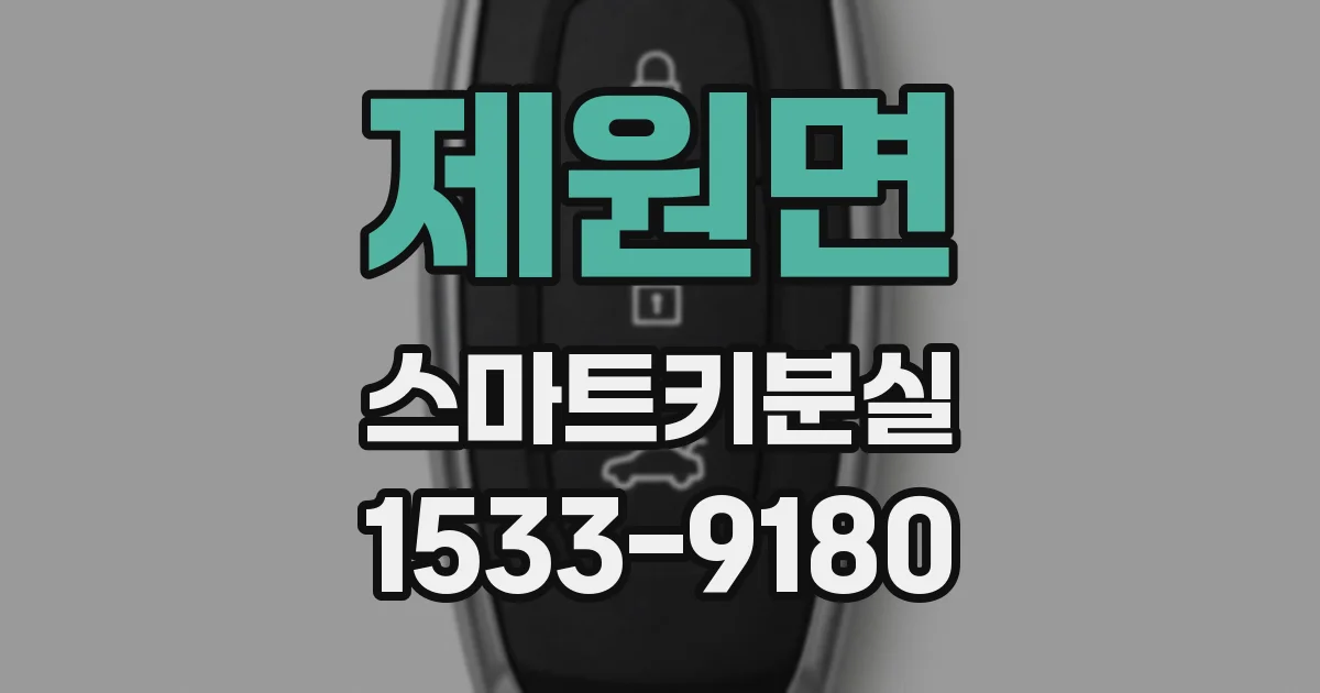 제원면 스마트키분실