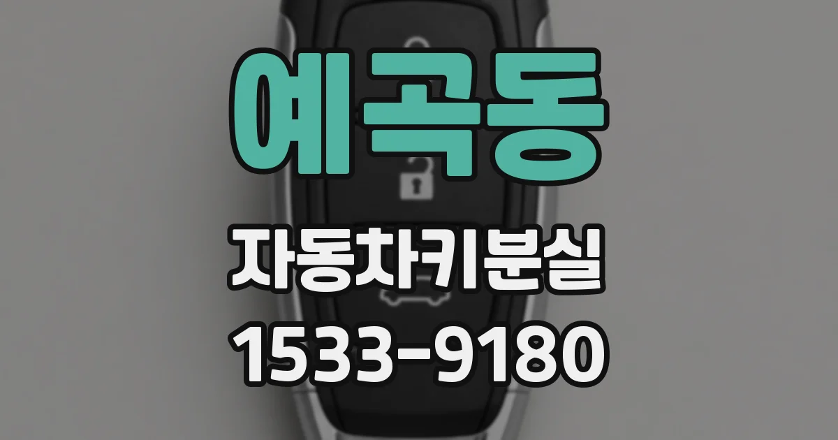 예곡동 자동차키분실