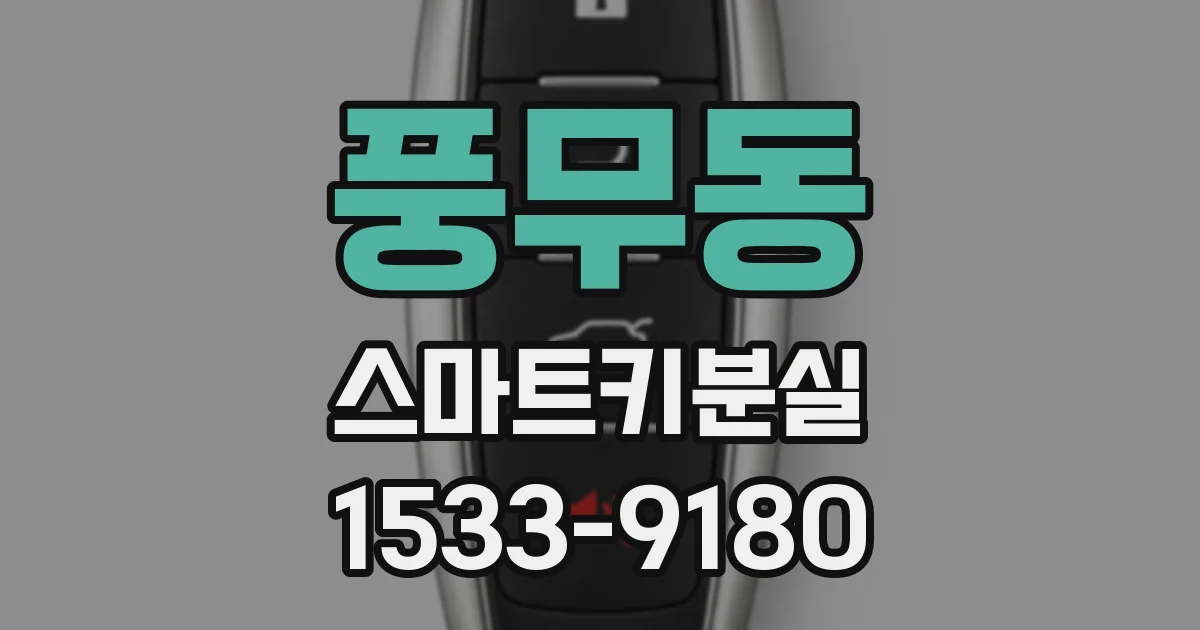 풍무동 스마트키분실