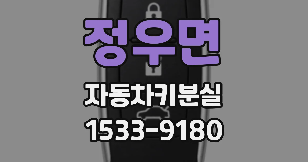 정우면 자동차키분실