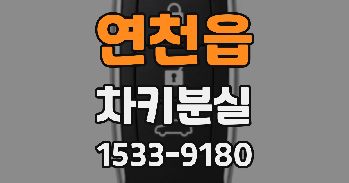 연천읍 차키분실