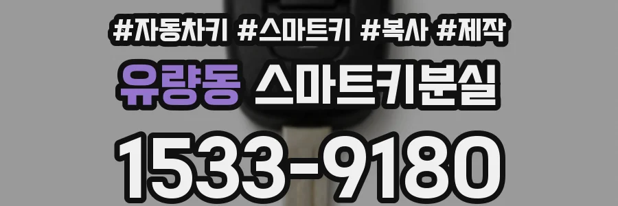 유량동 스마트키분실