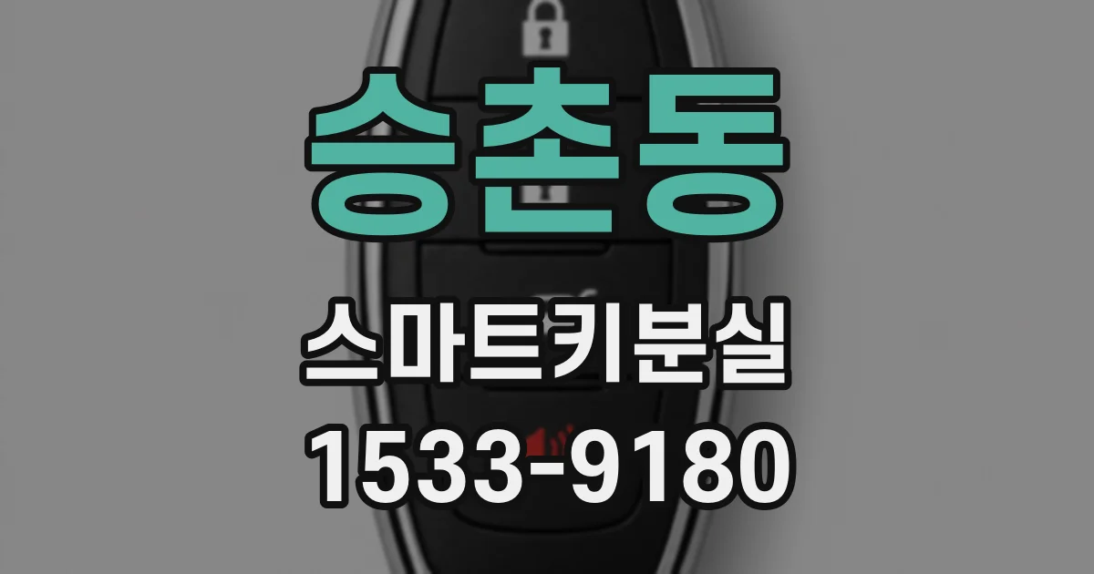 승촌동 스마트키분실