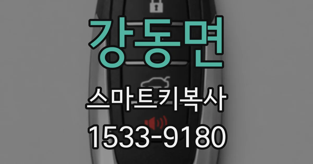 강동면 스마트키복사