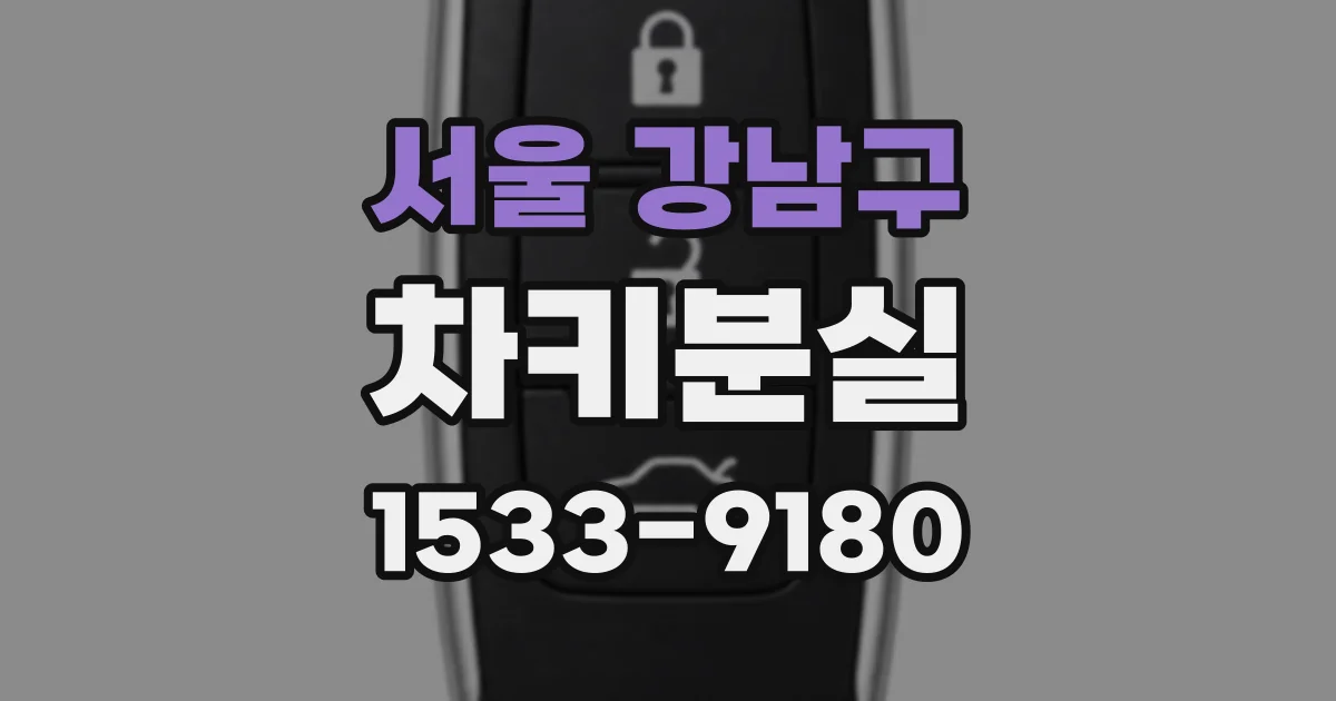 서울 강남구 차키분실