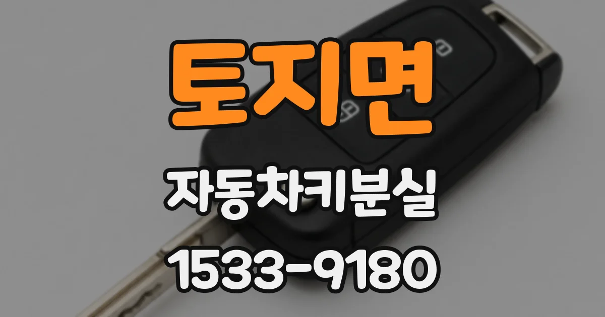 토지면 자동차키분실