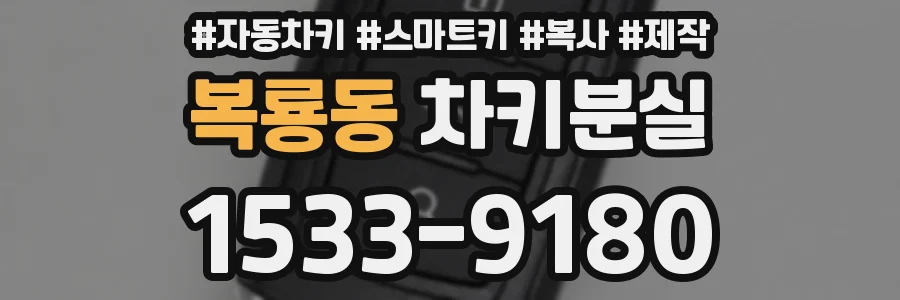 복룡동 차키분실