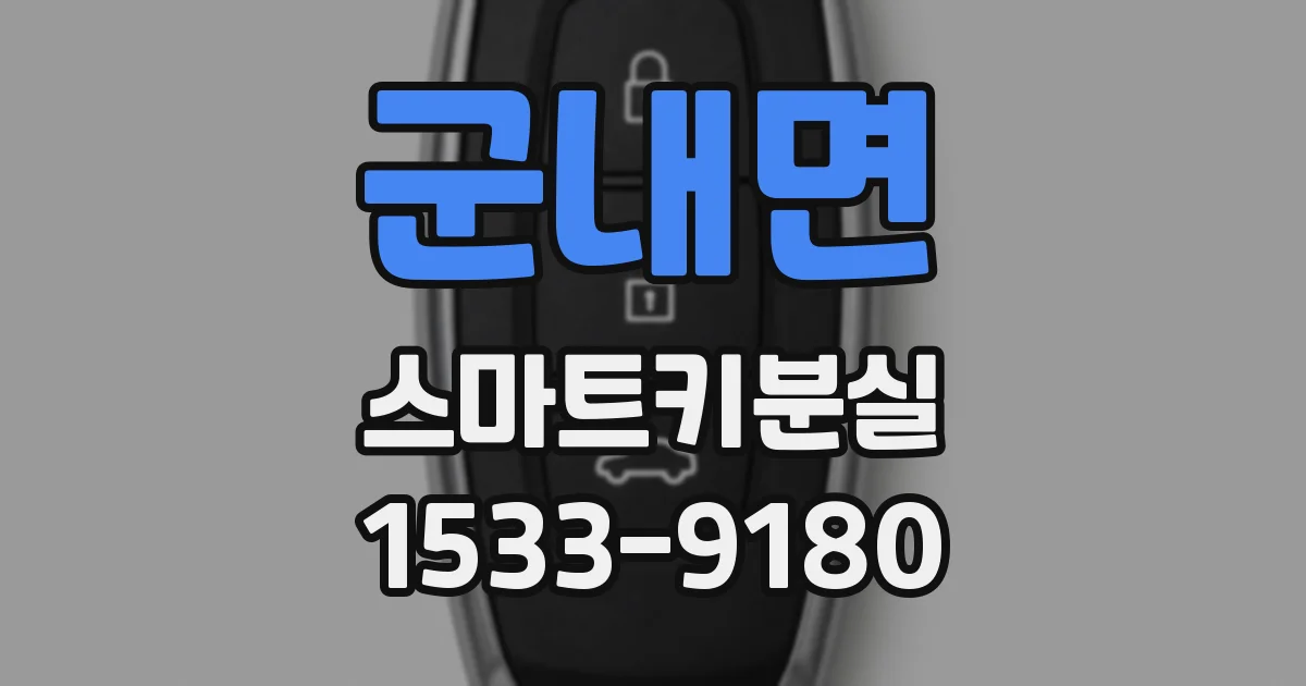 군내면 스마트키분실